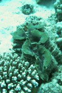 20000908_Mangrove_Bay_2_0014